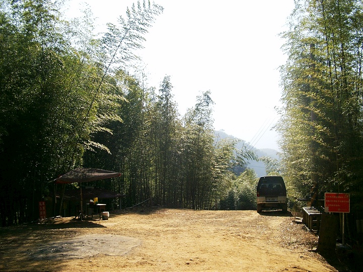 森林步道 攝影：Eva隨手拍