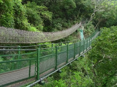 小錐麓步道-小錐麓步道