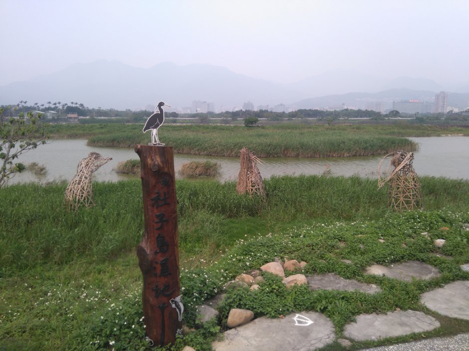 社子島濕地 攝影：Lu