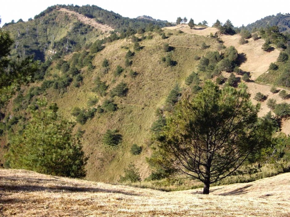 麟趾山步道 攝影：老山羊資訊網