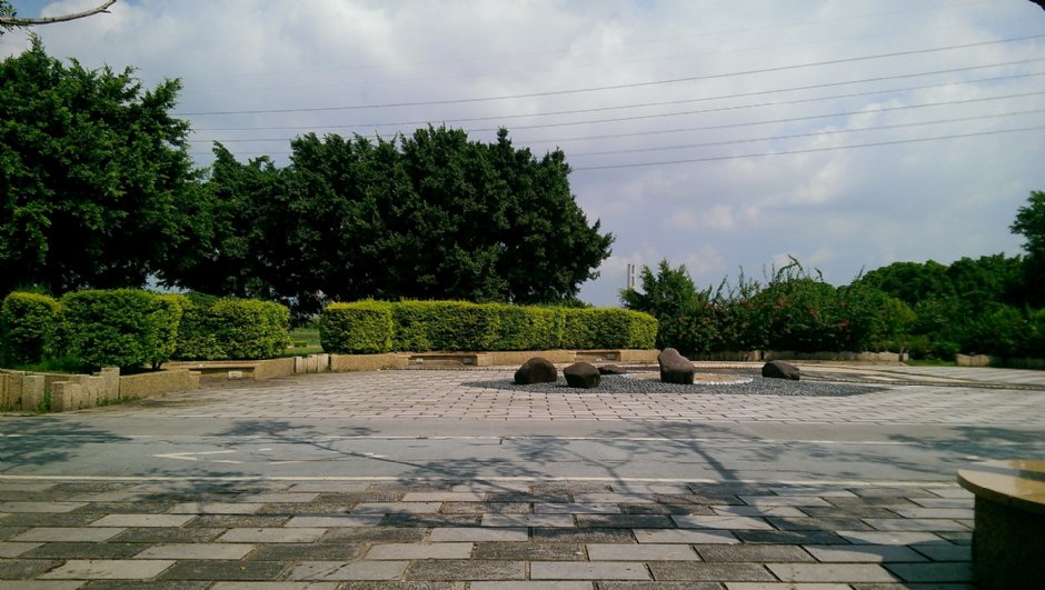 華江雁鴨自然公園 攝影：Eva隨手拍