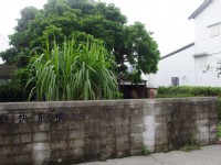 廖快菸樓<br/> 攝影：Eva隨手拍