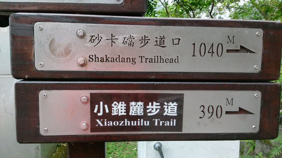 小錐麓步道 攝影：Eva隨手拍