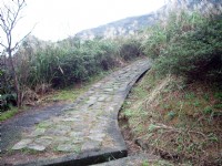 雞隆山登山步道<br/> 攝影：Eva隨手拍