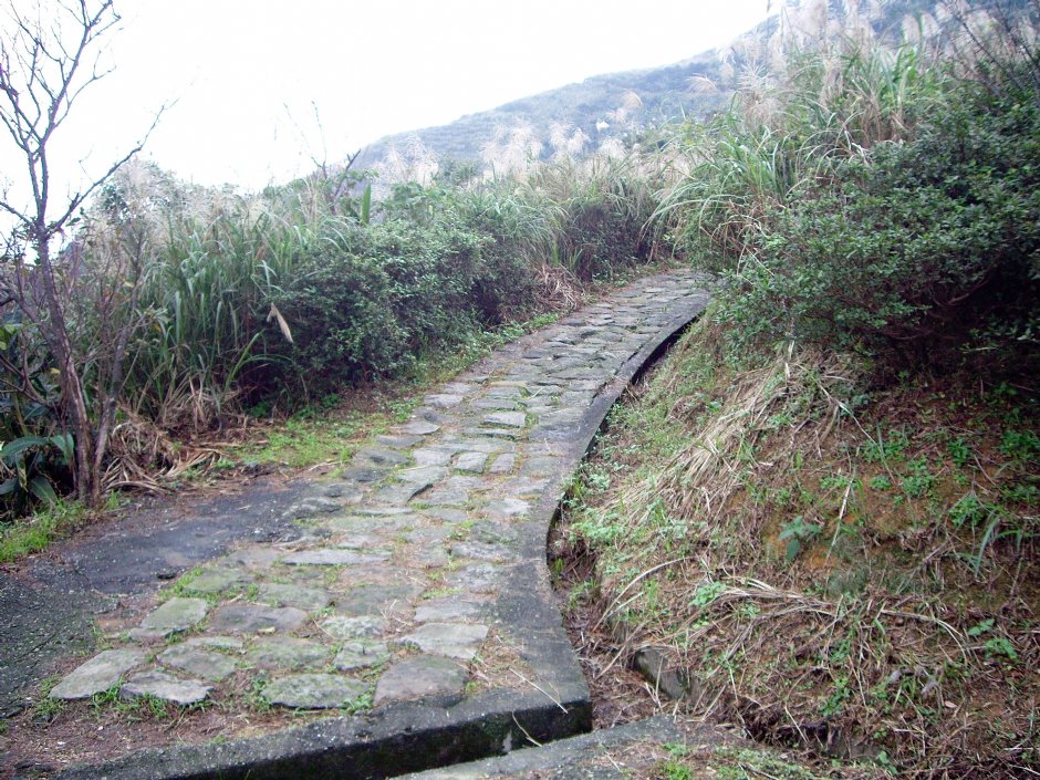 雞隆山登山步道 攝影：Eva隨手拍