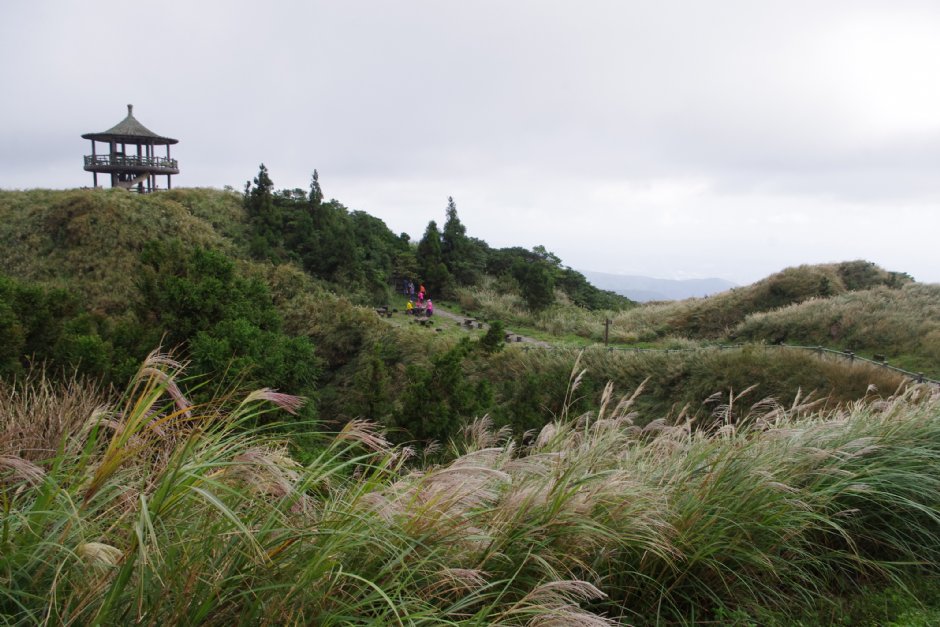七星山東峰步道 攝影：Eva隨手拍