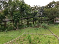 原生應用植物園<br/> 攝影：Louis