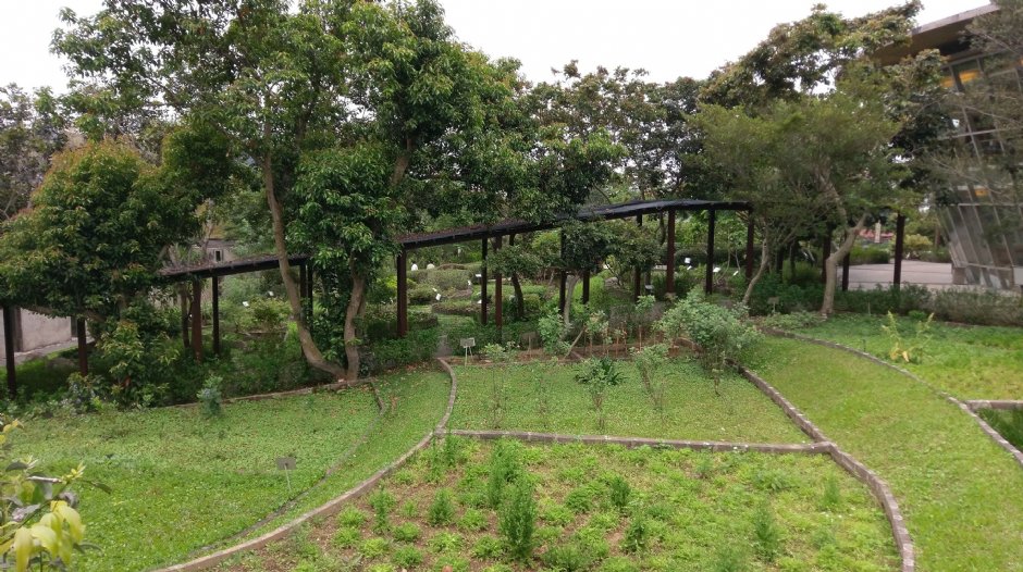 原生應用植物園 攝影：Louis