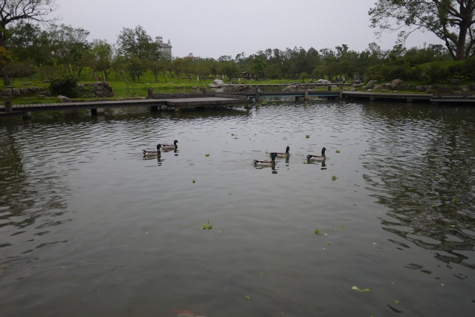 羅東運動公園2015 攝影：旅遊王攝影組