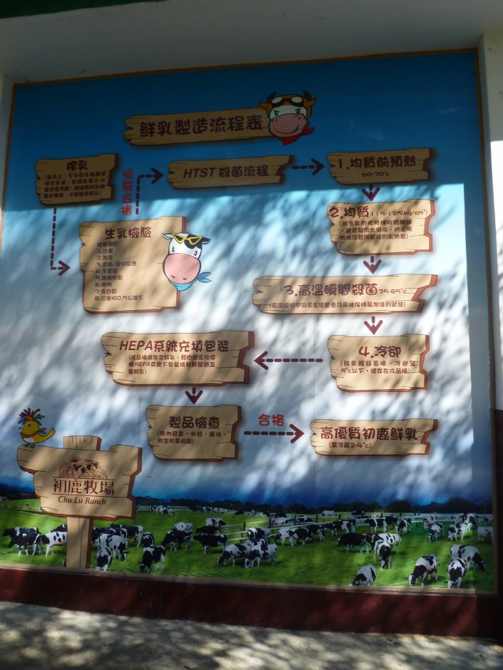 鮮乳的製程 攝影：陳皮梅