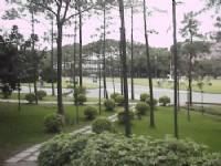 翠綠校園<br/> 攝影：郭香妙