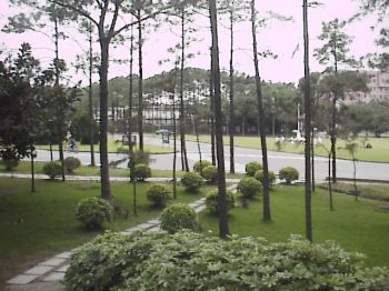 翠綠校園 攝影：郭香妙