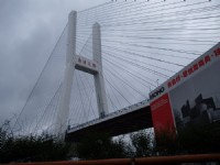 南浦大橋<br/> 攝影：簡時強