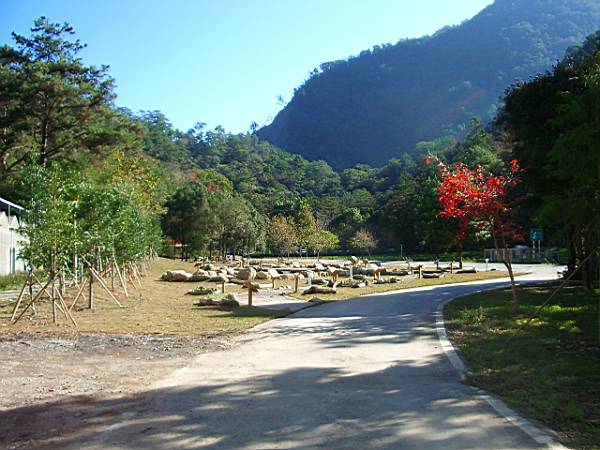 視野寬廣 攝影：老山羊資訊網