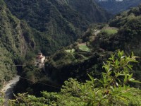 南橫公路海端鄉路段<br/> 攝影：林錦萍