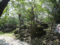 原生植物園<br/> 攝影：三井
