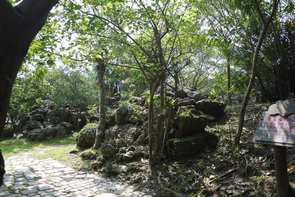 原生植物園 攝影：三井