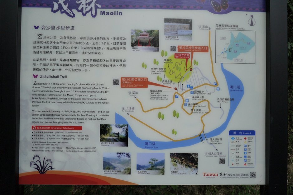 茂林紫蝶幽谷賞蝶步道 攝影：三個井