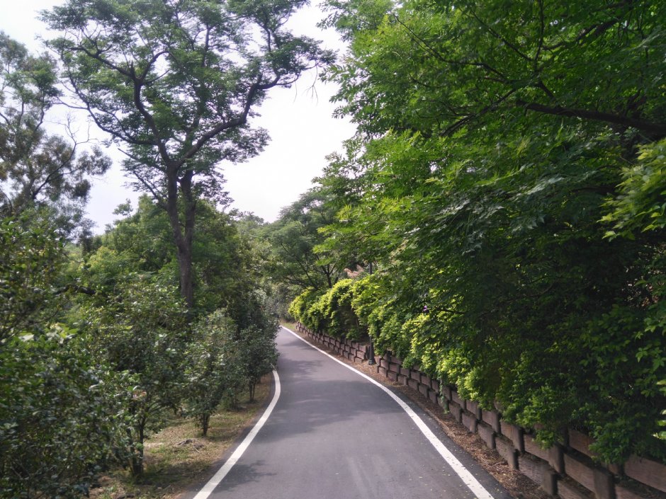 青青草原 摄影：Lu