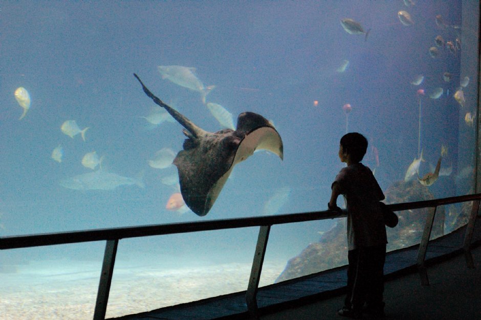大洋池 攝影：國立海洋生物博物館