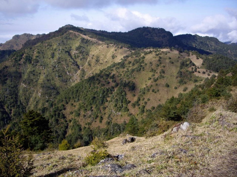鹿林山 攝影：老山羊資訊網