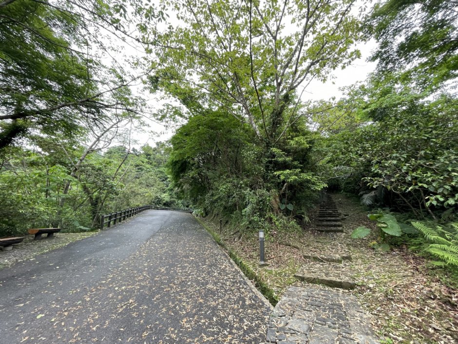仁山植物園步道 攝影：Eva隨手拍