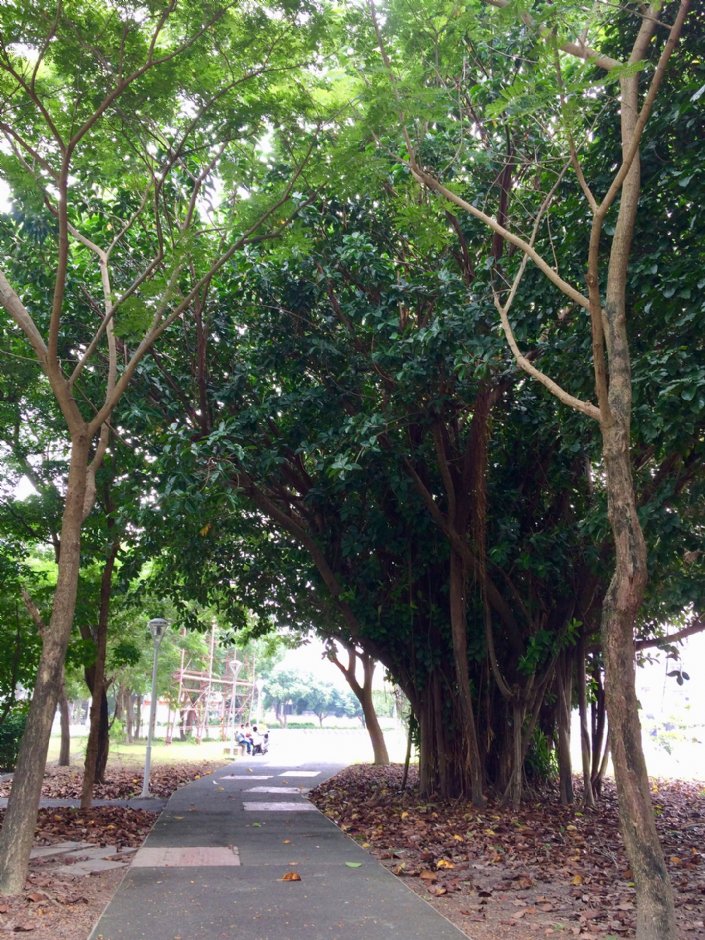 林內新公園(寶隆紙廠舊址) 攝影：Eva隨手拍