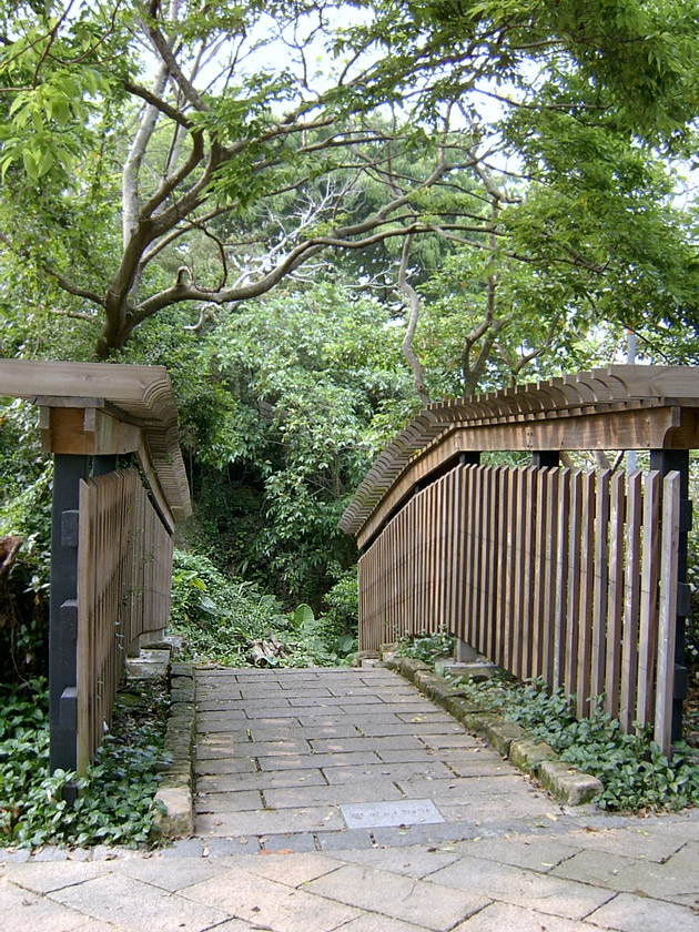 林蔭步道01 攝影：曾婉玲