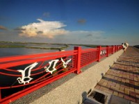 黑面琵鷺保護區<br/> 攝影：照片來源_台南旅遊網