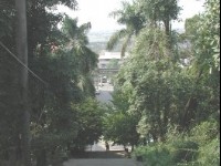 園中一景<br/> 攝影：張弘穎