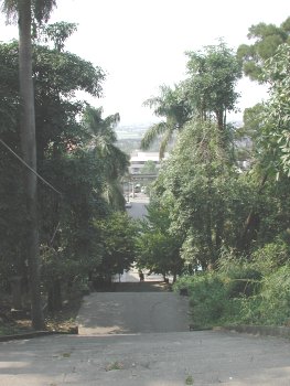 園中一景 攝影：張弘穎