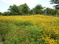 知卡宣森林公園<br/> 攝影：Eva隨手拍