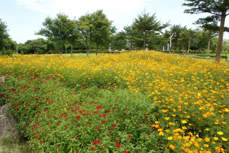 知卡宣森林公園 攝影：Eva隨手拍
