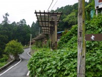 201407奮起湖鄉間小徑<br/> 攝影：三個井