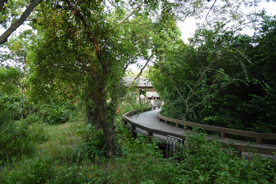 鳥松濕地公園 攝影：三井