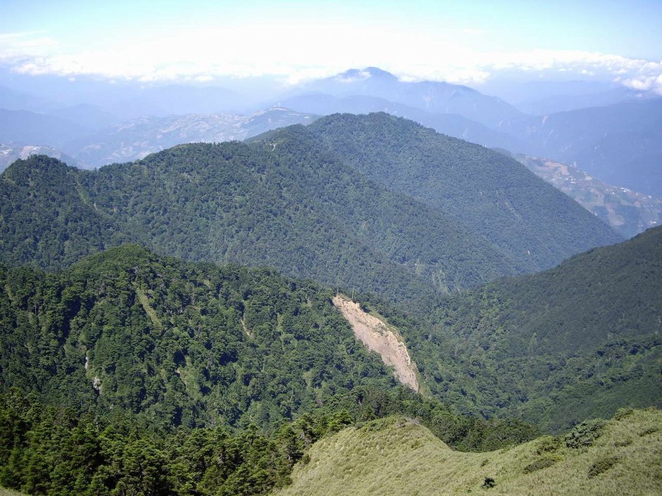 從步道俯瞰森林景觀 攝影：老山羊部落格