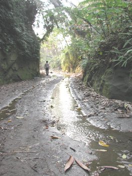 谷中水流 攝影：張弘穎