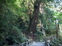 景觀步道<br/> 攝影：桃園市政府觀光旅遊局 提供