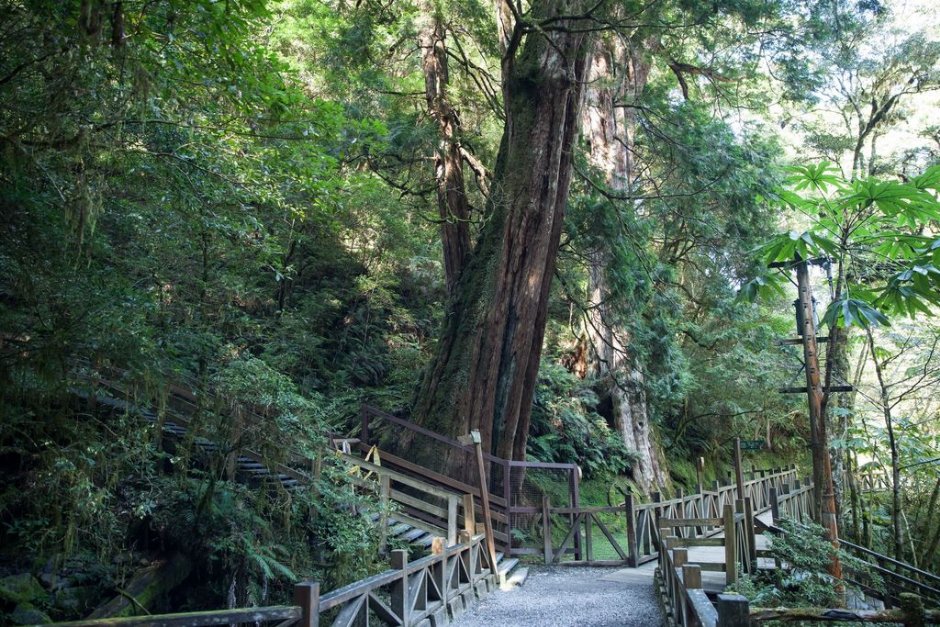景觀步道 攝影：桃園市政府觀光旅遊局 提供