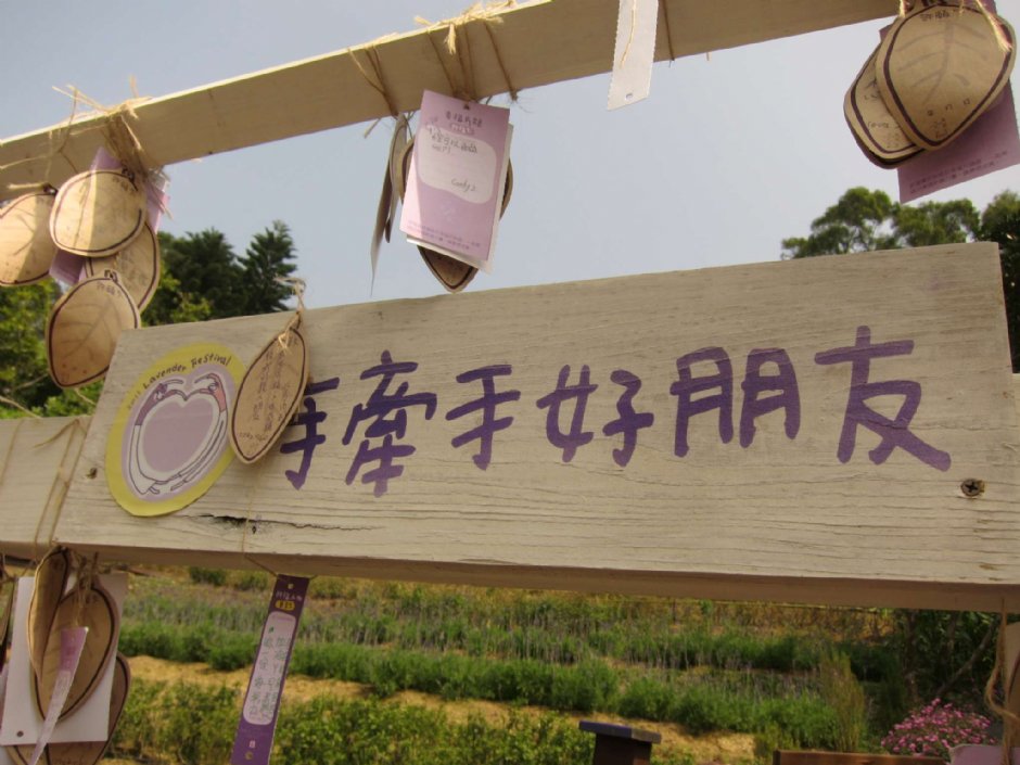 熏衣草森林-明德店 摄影：陳皮梅