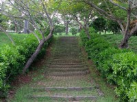 瓊麻工業歷史展示區<br/> 攝影：Eva隨手拍