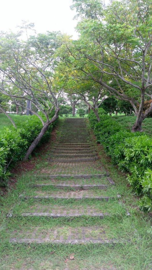 瓊麻工業歷史展示區 攝影：Eva隨手拍