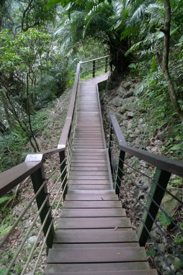 小錐麓步道 攝影：Eva隨手拍
