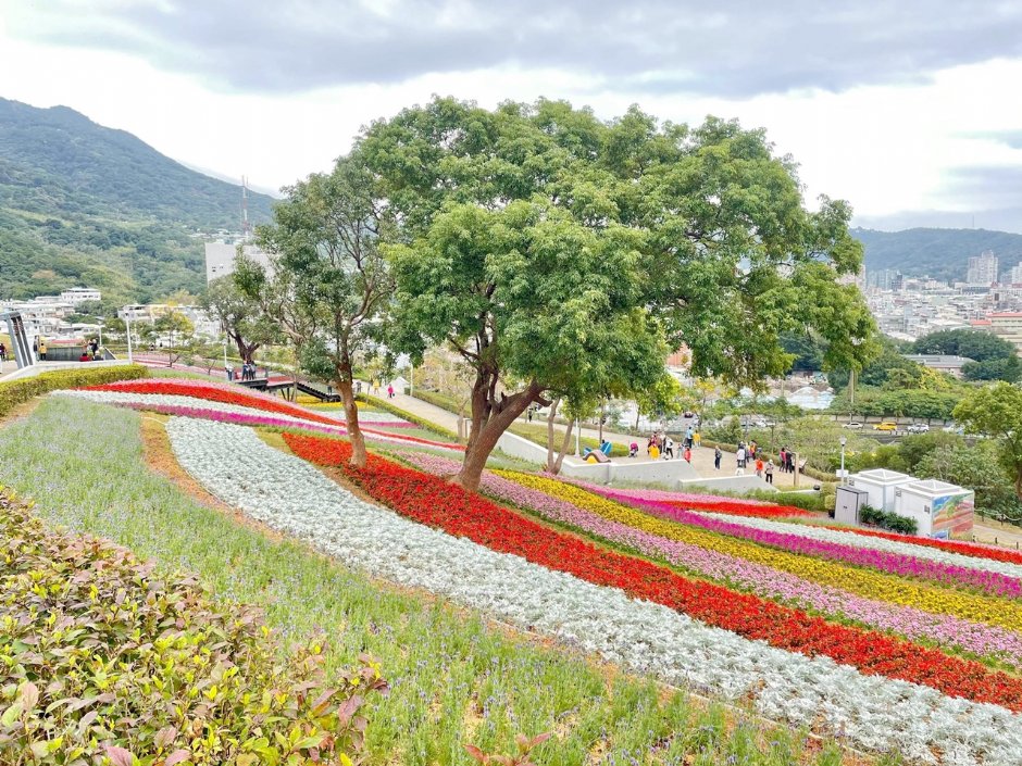 北投社三層崎公園大片花海被譽為台版富良野 攝影：Eva隨手拍