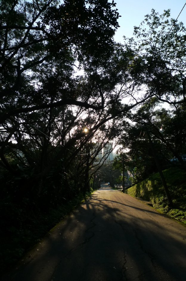 容軒步道 攝影：Eva隨手拍