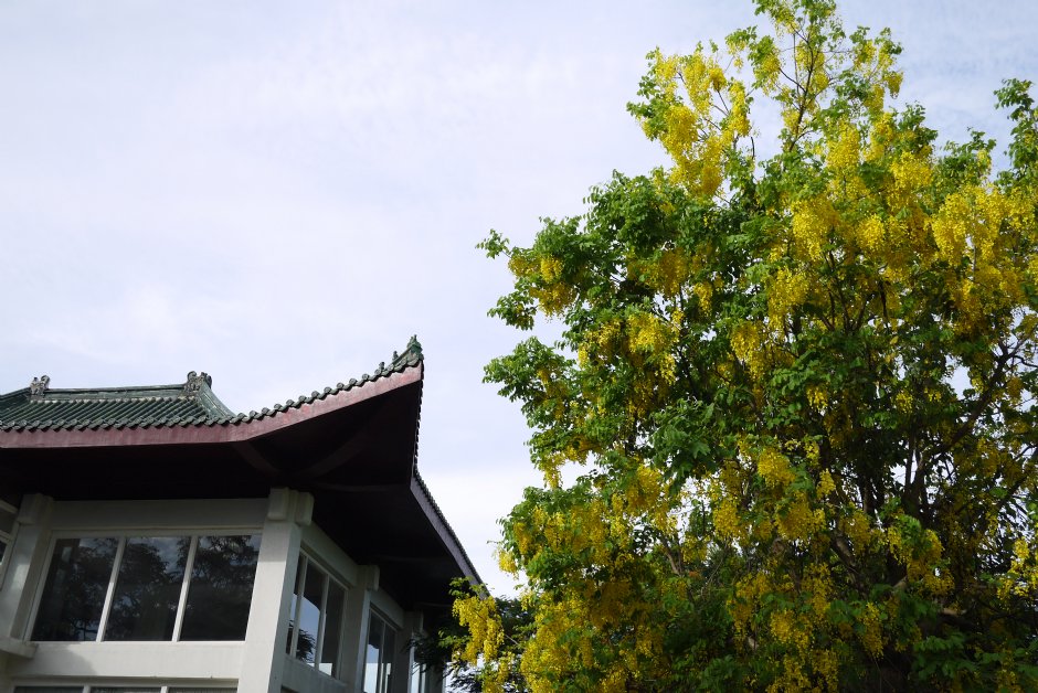 忠烈祠戰爭與和平紀念館 攝影：三井