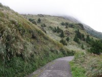七星山東峰步道<br/> 攝影：Eva隨手拍