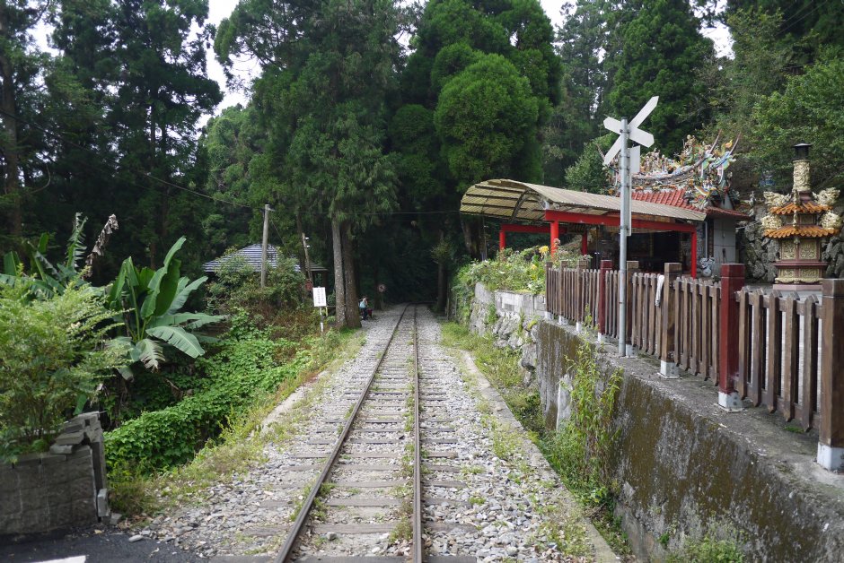 201407奮起湖段阿里山鐵路 攝影：三個井