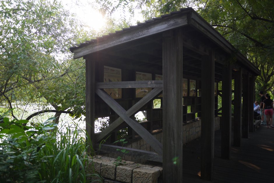 鳥松濕地公園賞鳥亭 攝影：三井