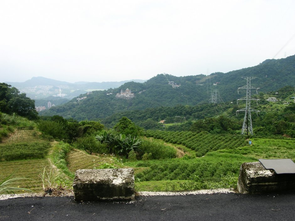 茶園和高壓電塔 攝影：林夢真